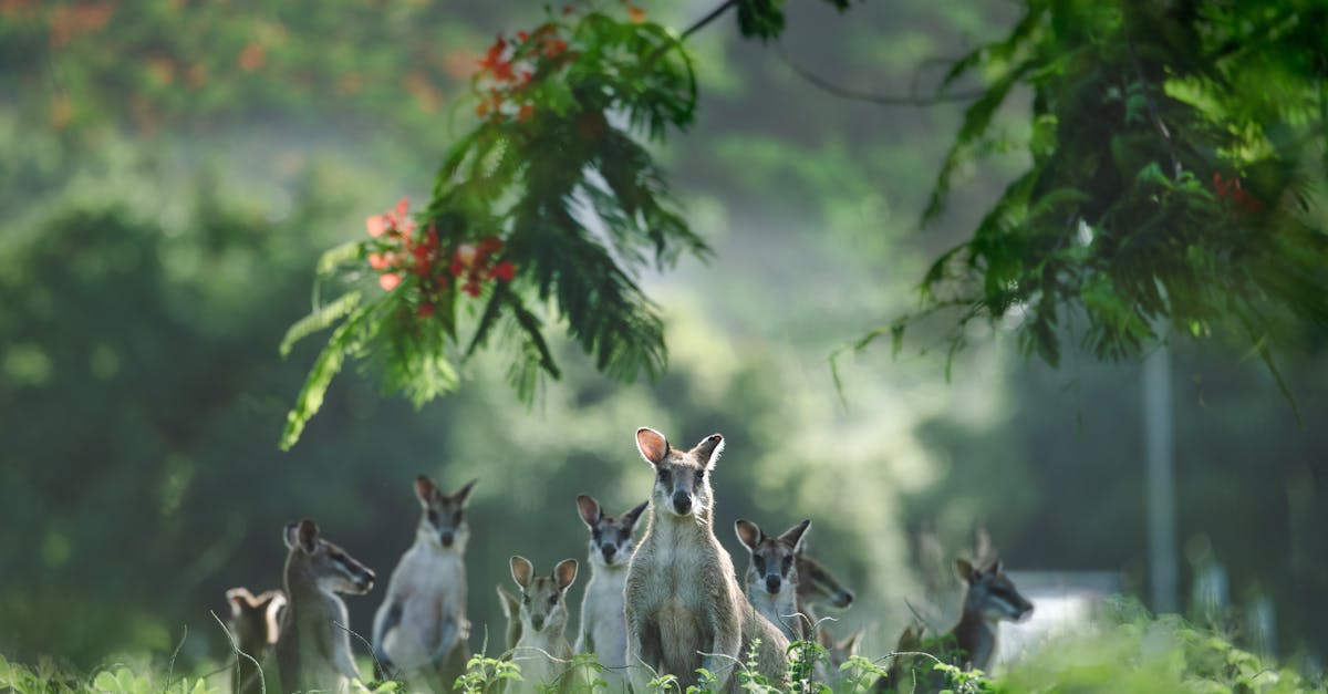 Seven Hills, New South Wales