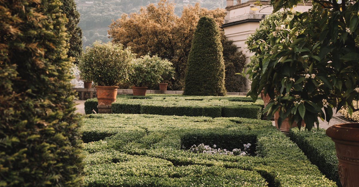 wentworth Point, New South Wales