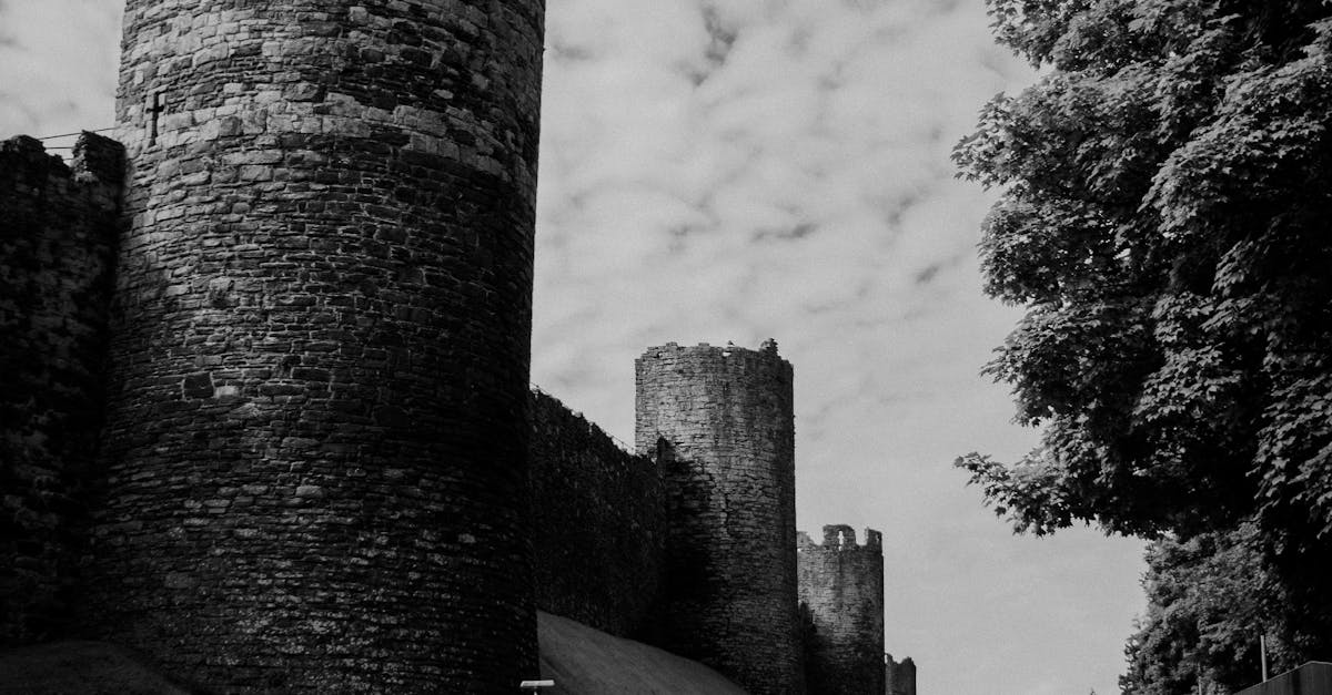 What is the carnival ride that goes up and around?